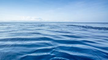 Lo que los investigadores encuentran en el mar alcanza para milenios y ya se habla del mayor tesoro de la historia